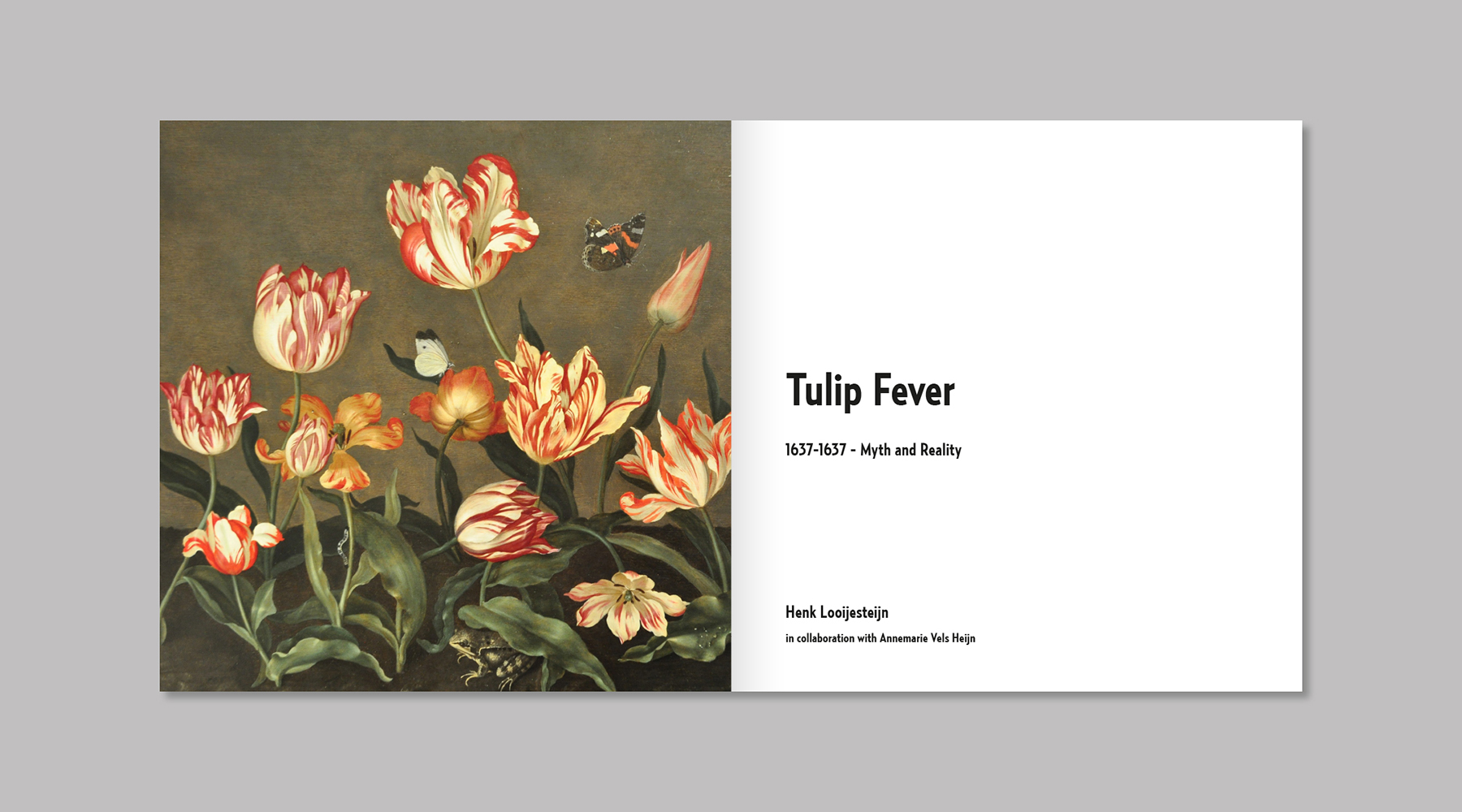 Museum De zwarte Tulp boek Tulpenkoorts – afbeelding 2
