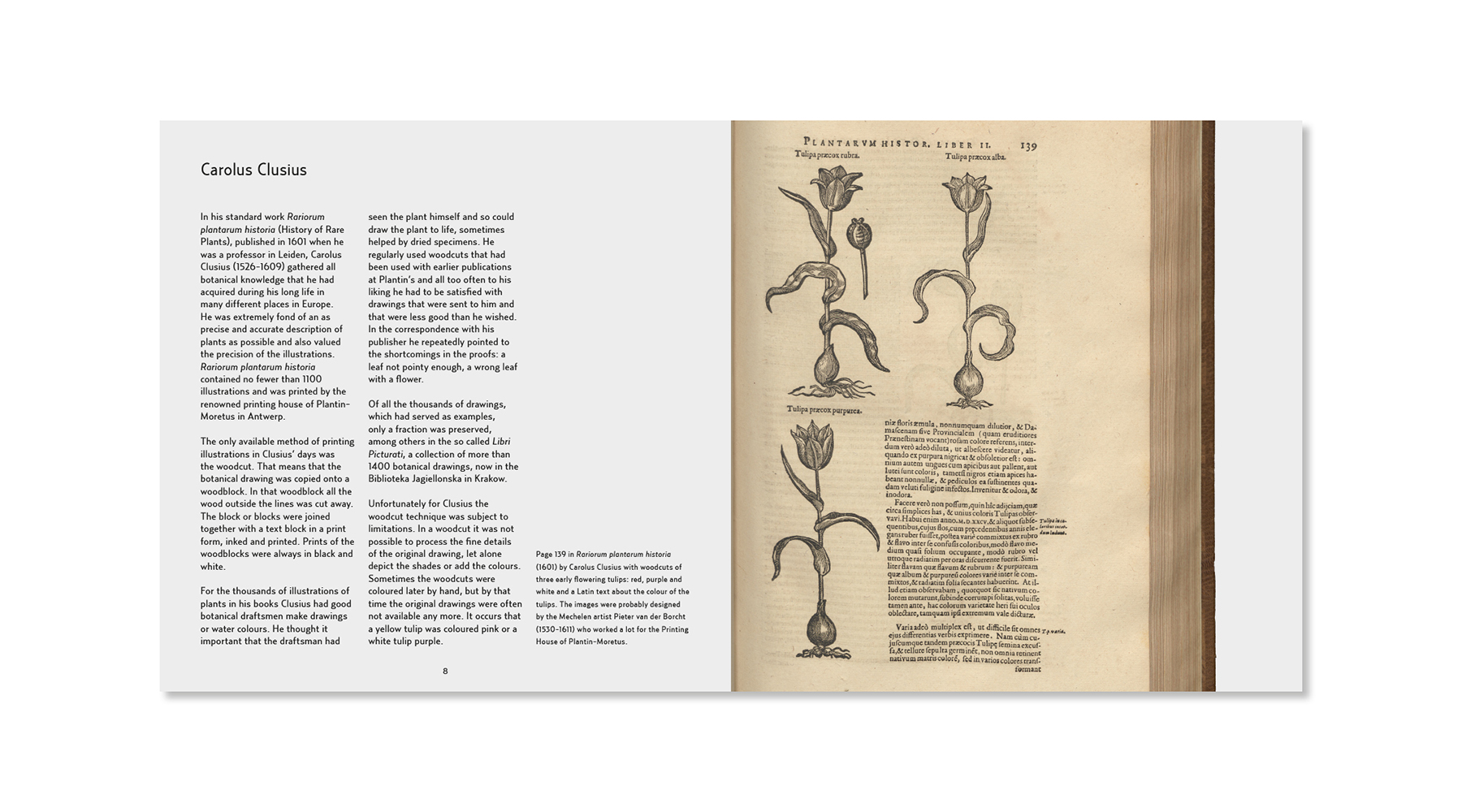 Museum De zwarte Tulp boek Tulpenkoorts – afbeelding 3