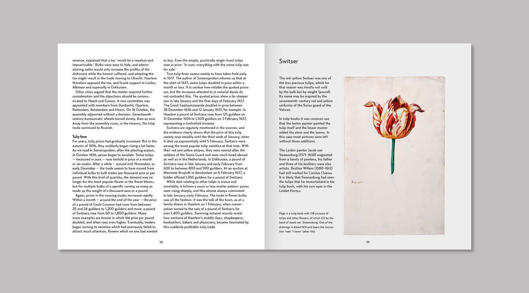 Museum De zwarte Tulp boek Tulpenkoorts – afbeelding 4